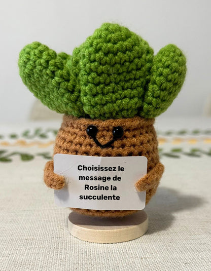 Rosine la Succulente